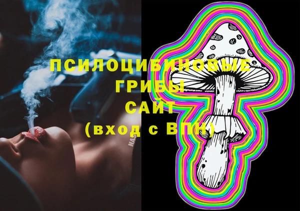 стафф Инсар
