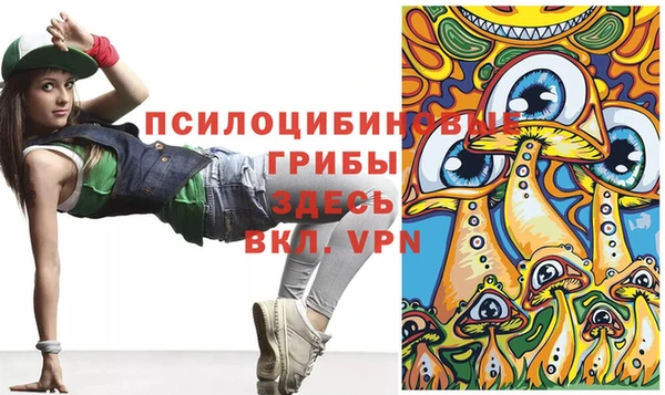 молекула духа Иннополис
