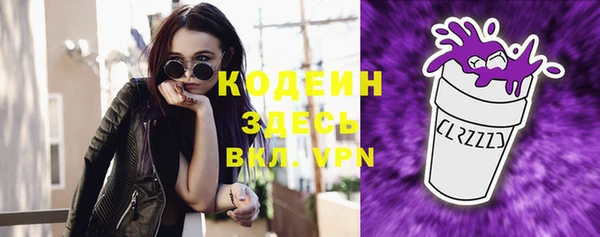 бошки Инта