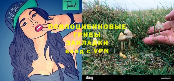 стафф Инсар