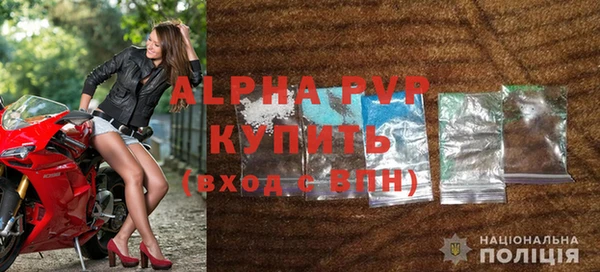 молекула духа Иннополис