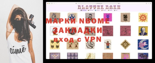 бошки Инта