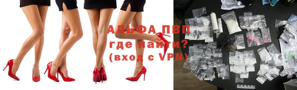 бошки Инта