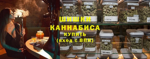 бошки Инта