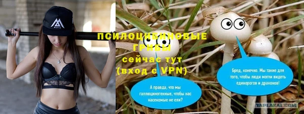 молекула духа Иннополис