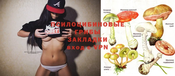 бошки Инта