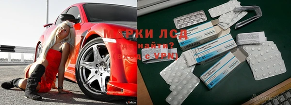 бошки Инта