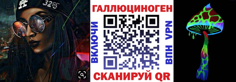 Галлюциногенные грибы Psilocybe  Купить  Моршанск 